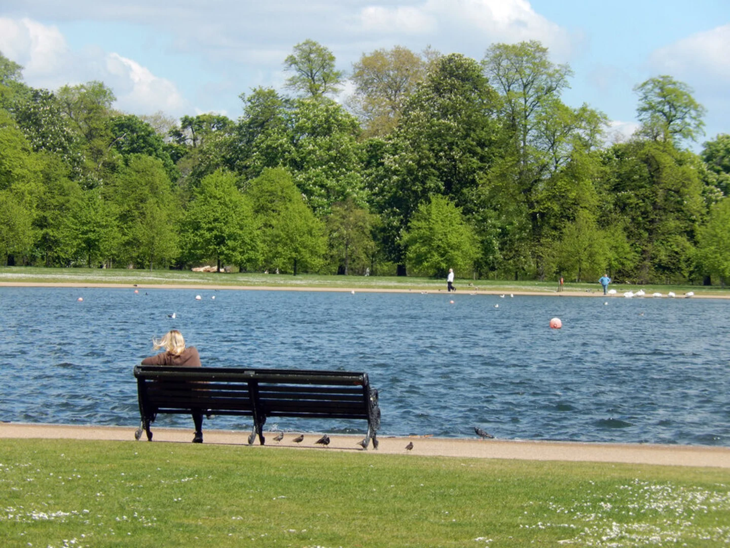An image depicting the trail Kensington Gardens and its surrounding area.