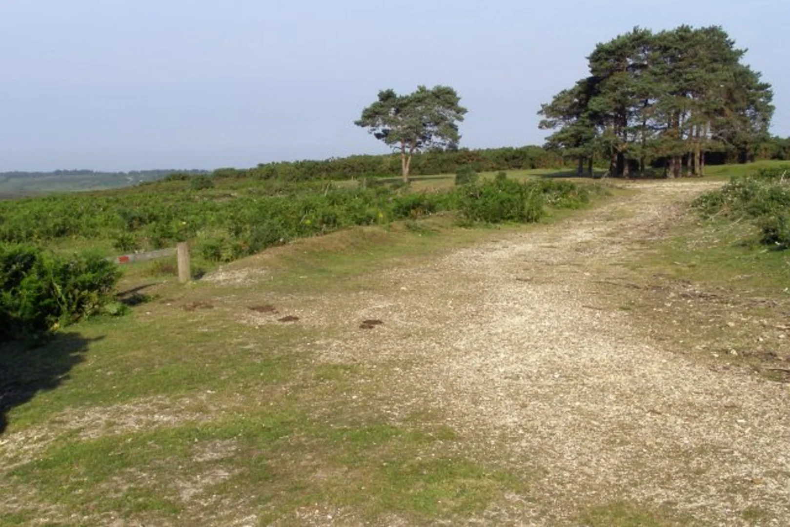 An image depicting the trail Turf Hill Loop and its surrounding area.