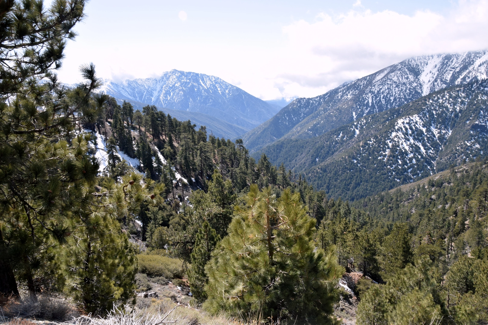 An image depicting the trail Lower Sam Merrill, Echo Mountain, Markham Saddle and San Gabriel Peak Loop Trail and its surrounding area.