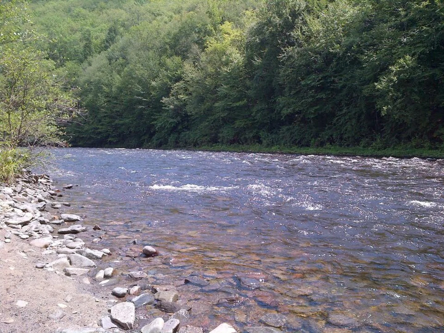 An image depicting the trail Glen Onoko and Packers Point Trail Loop and its surrounding area.