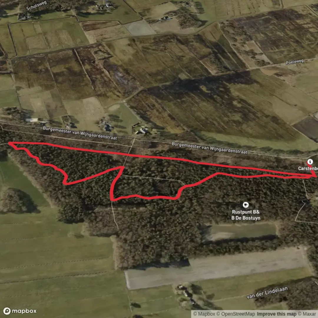 An image depicting the trail Carstenbos Loop and its surrounding area.