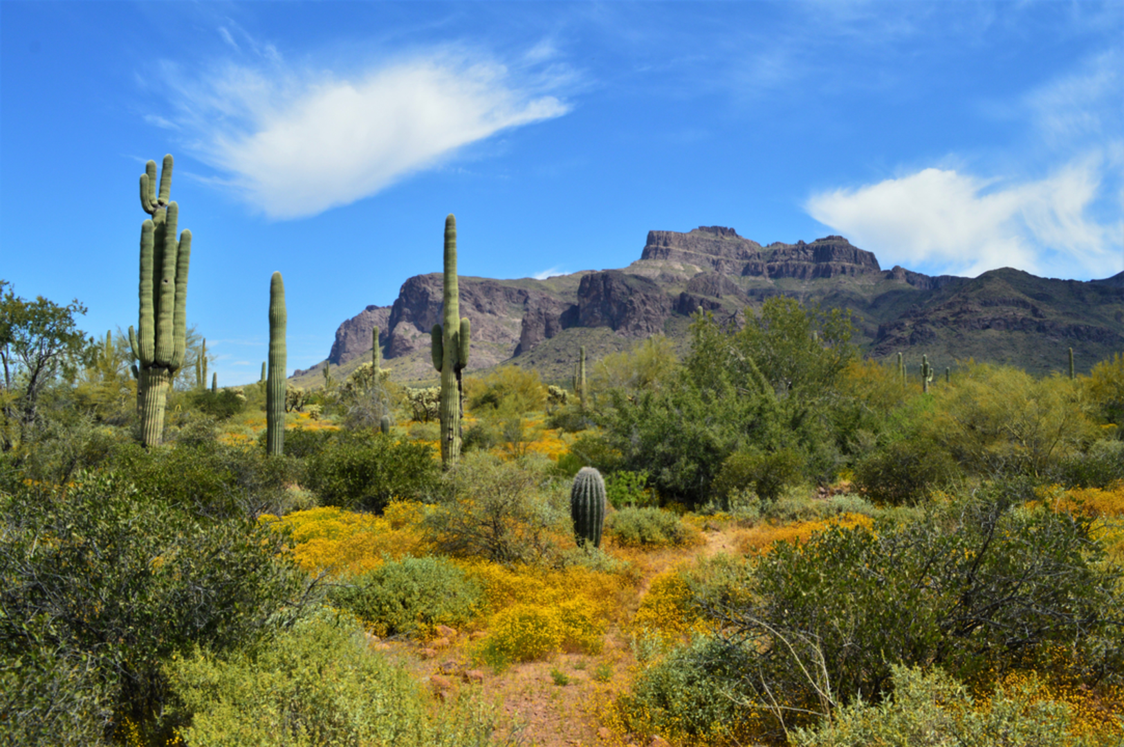 An image depicting the trail Mica View Trail and its surrounding area.