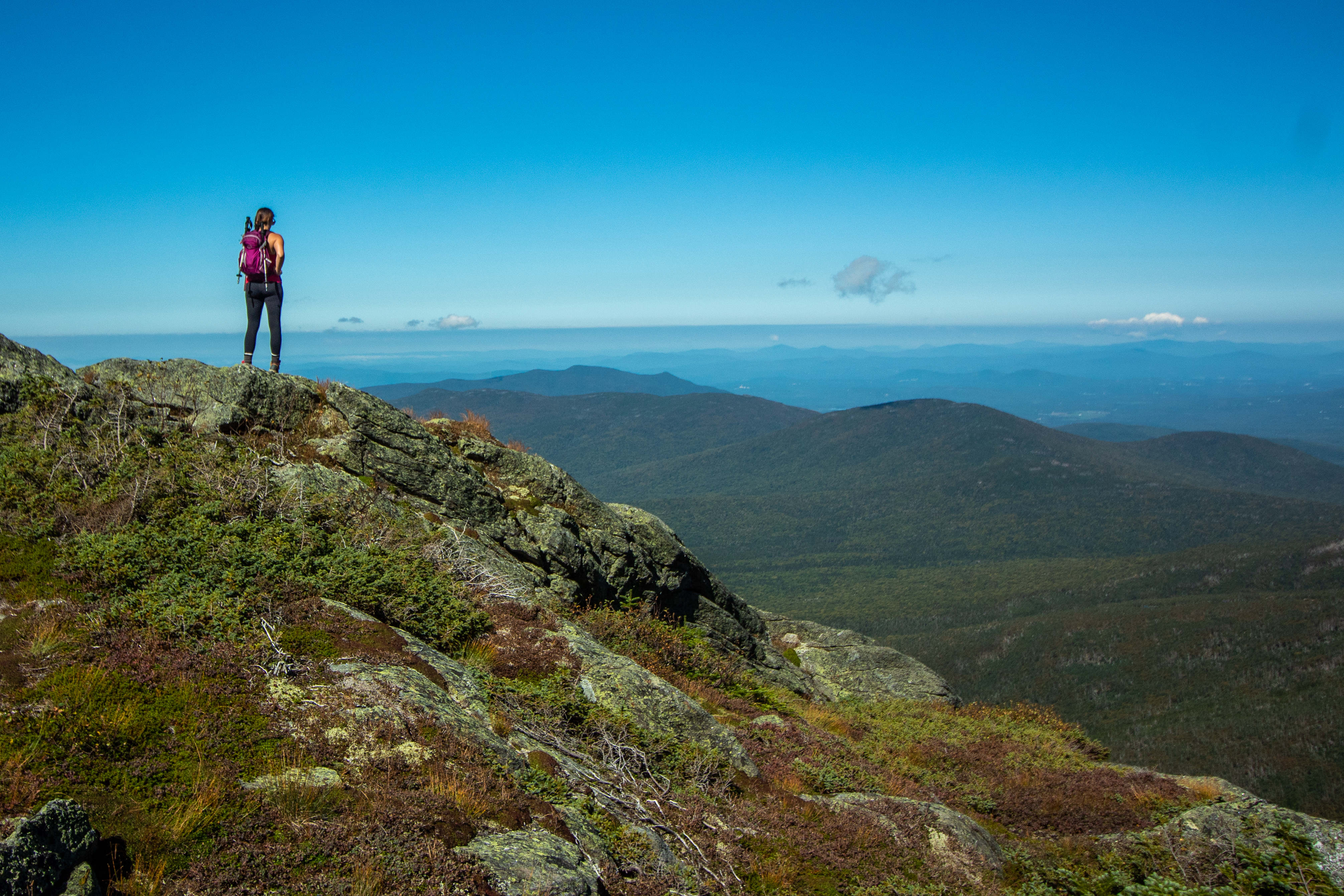An image depicting the trail White Mountain National Forest and its surrounding area.