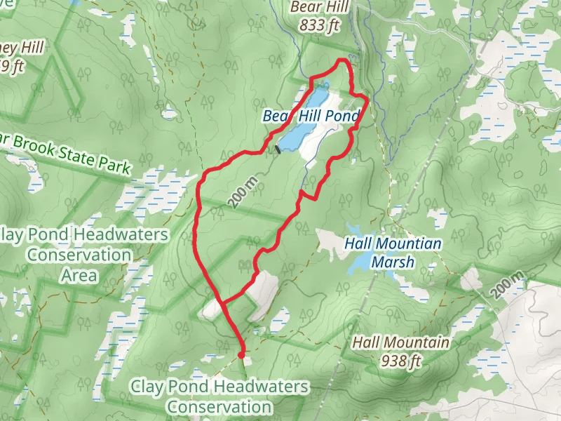 Bear Hill Pond via Ferret Loop Trail