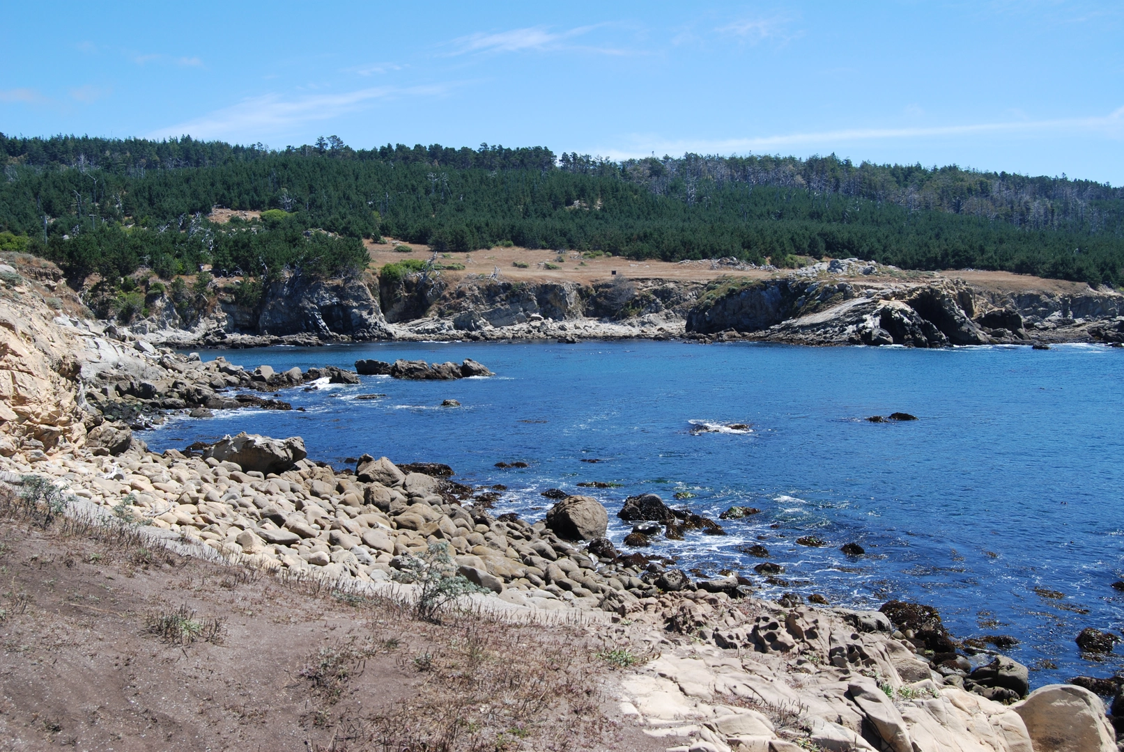 An image depicting the trail Gerstle Cove Loop and its surrounding area.