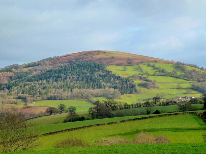 Garway Hill
