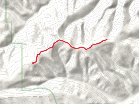 Sand Point Ridge Trail