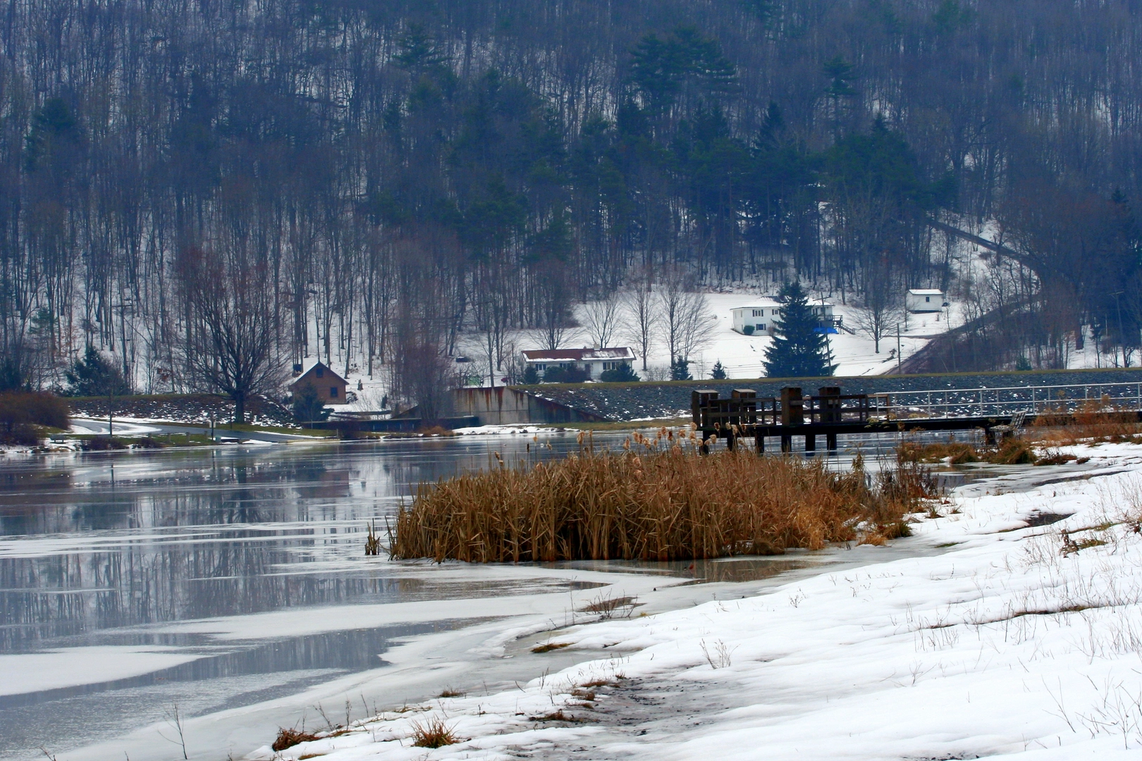 An image depicting the trail Frances Slocum Lake and Abrahams Creek Loop and its surrounding area.