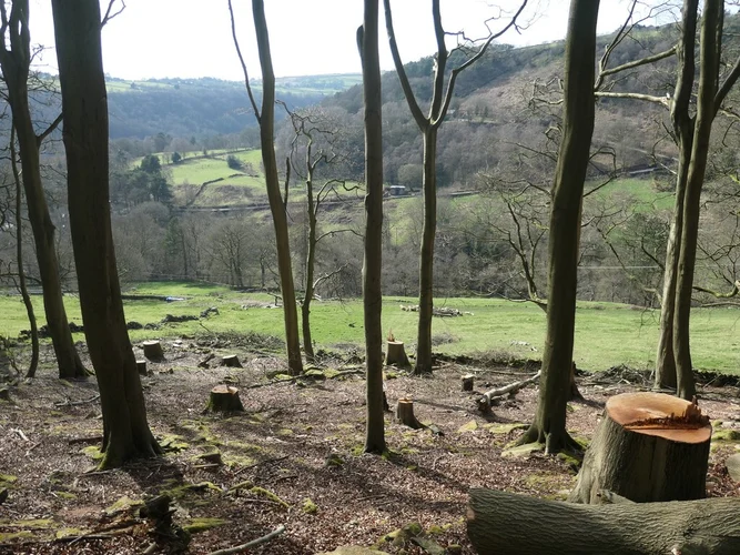 Lumb Falls, Gibson Mills, Naze Hill and Baby House Hill Loop