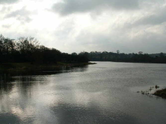 Barnt Green and Lower Bittell Reservoir Loop