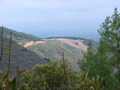 Woods and Priest Rock Trail