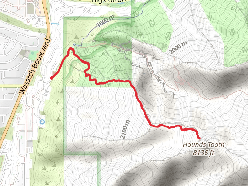 Hounds Tooth Trail
