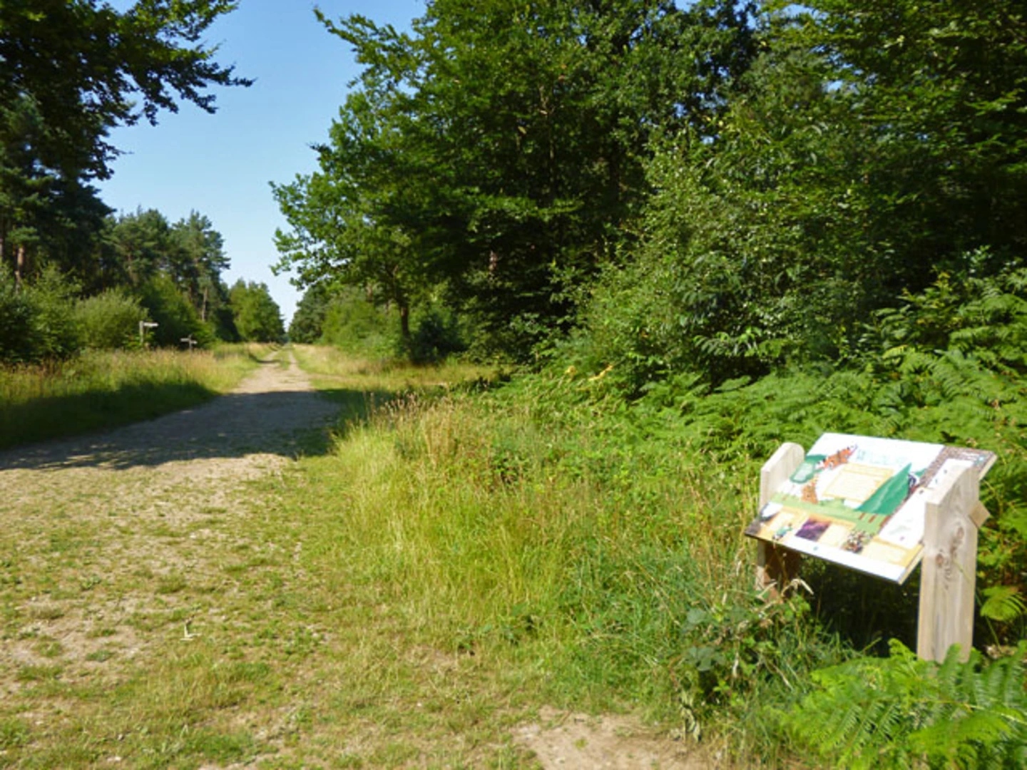 An image depicting the trail Mick's Cross to Race Hill Loop and its surrounding area.