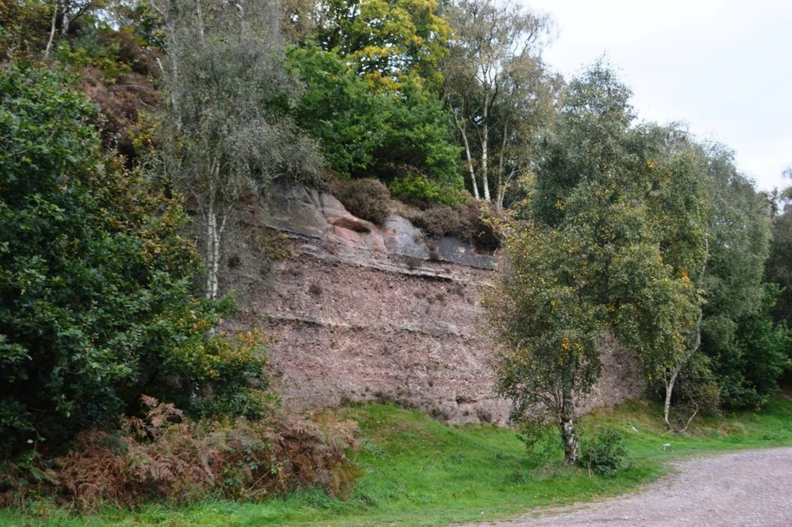 An image depicting the trail Cannock Chase from Milford and its surrounding area.