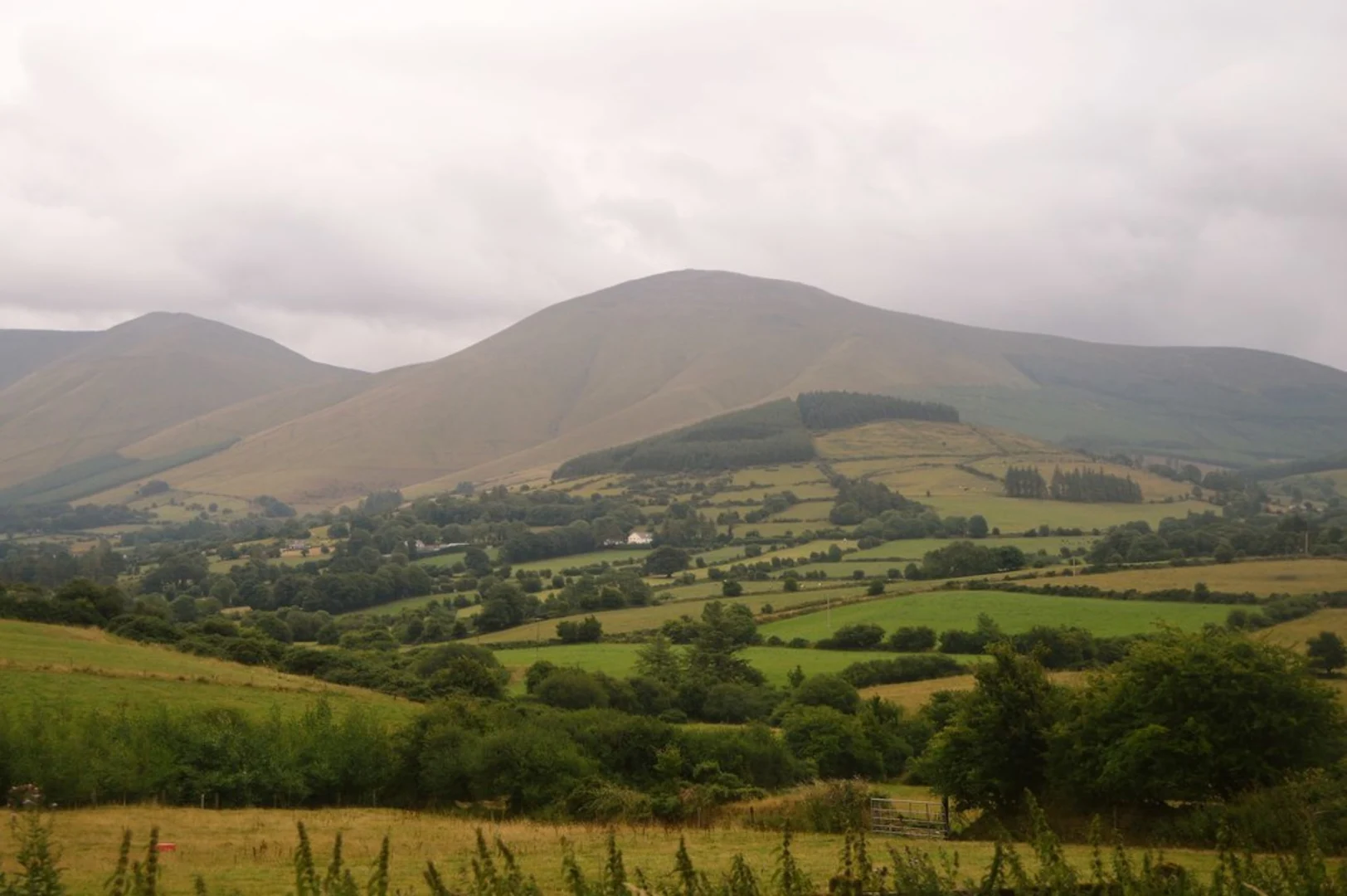 An image depicting the trail Temple Hill and Benard Loop and its surrounding area.