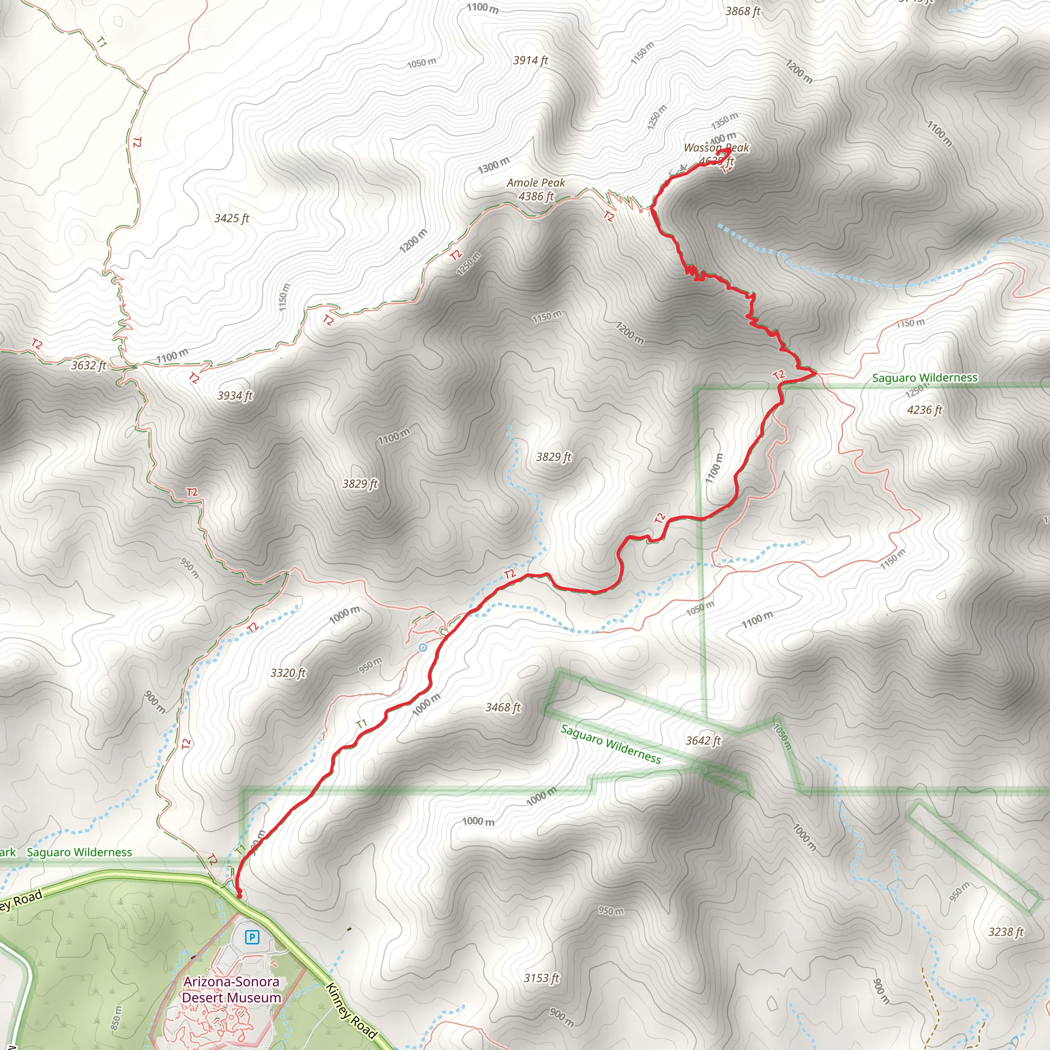 Wasson Peak via King Canyon Trail mobile static map