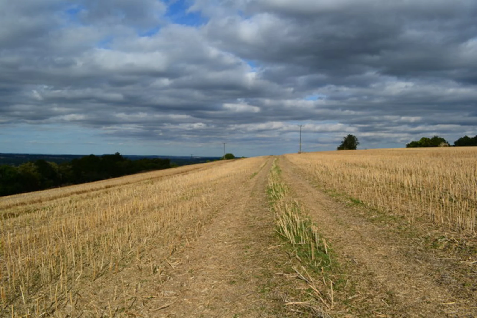 An image depicting the trail Mean Hill and Dena Hill Loop and its surrounding area.
