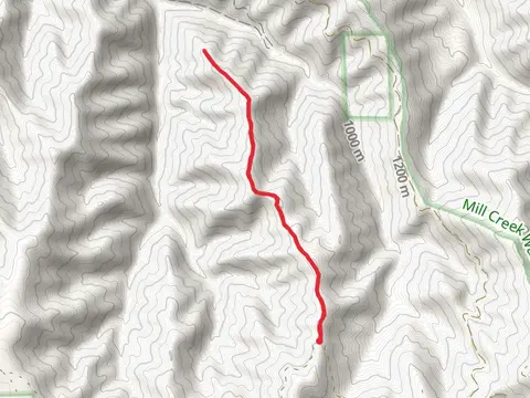 Tiger Ridge Trail