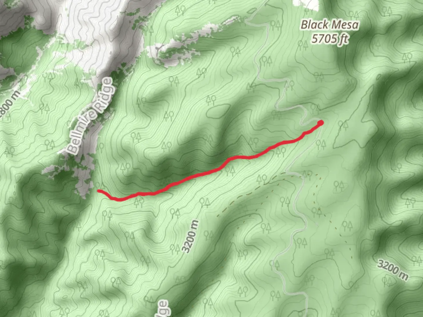 An image depicting the trail South Dyer Trail and its surrounding area.