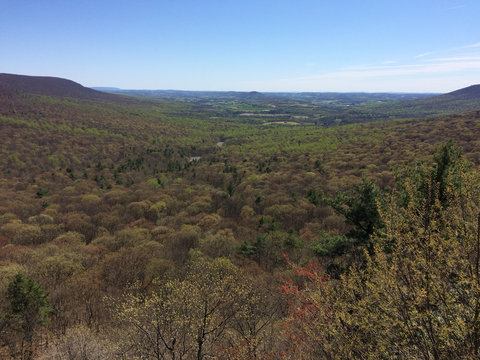 Mapple Hollow Trail, Scenic Vista Trail and Boundary Trail Loop