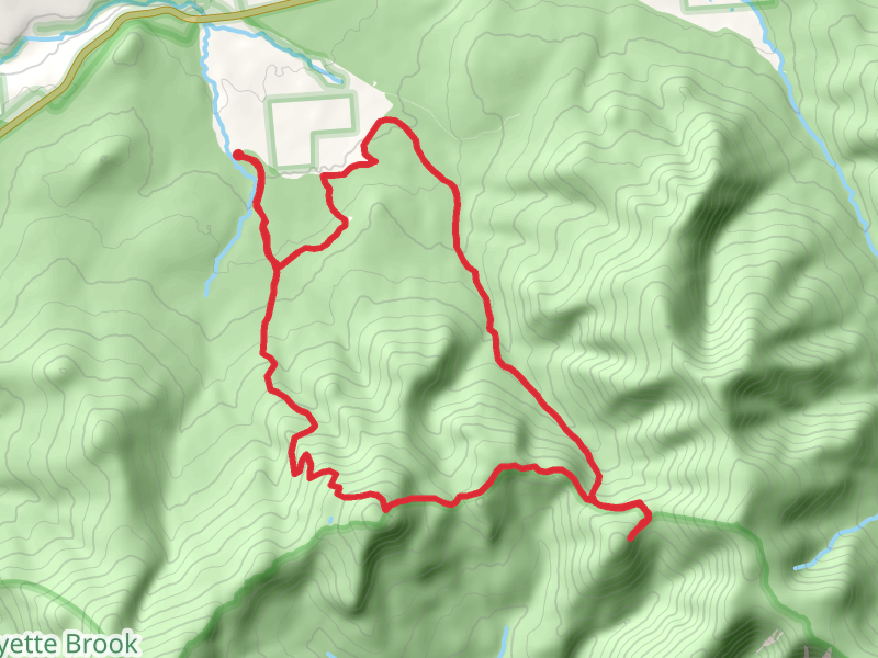 Garfield Ridge East Peak via Gale River Trail