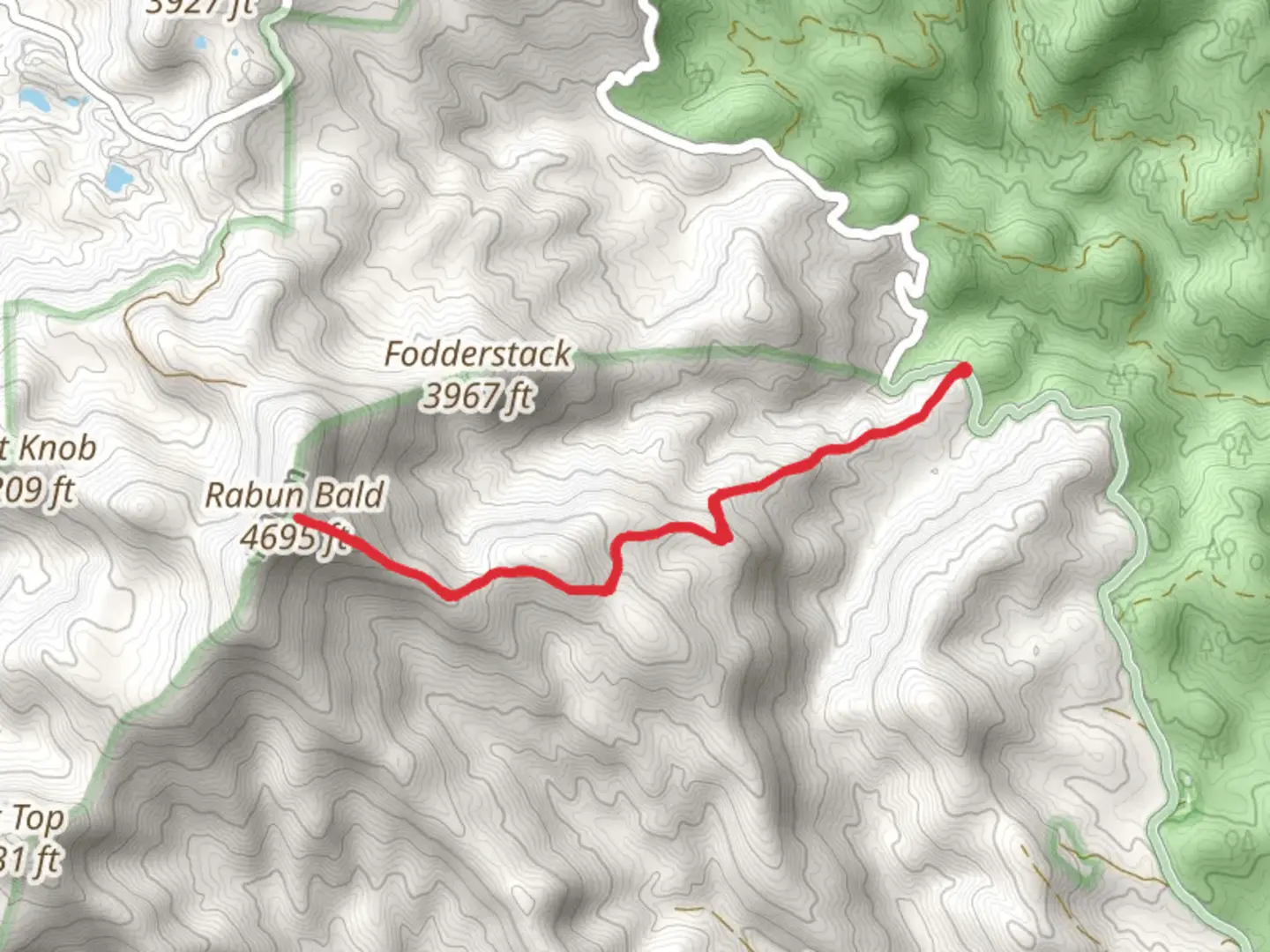 An image depicting the trail Rabun Bald and its surrounding area.