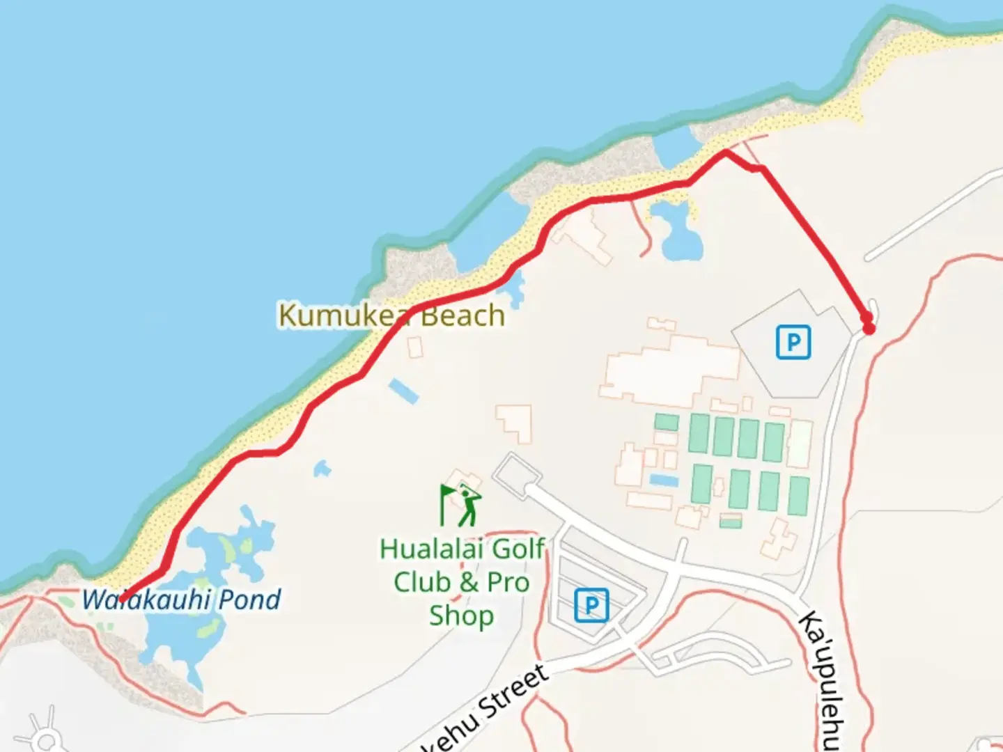An image depicting the trail Waiakauhi Pond and its surrounding area.