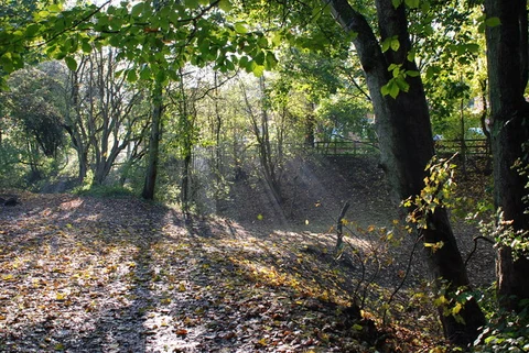 Saltwells Local Nature Reserve Loop