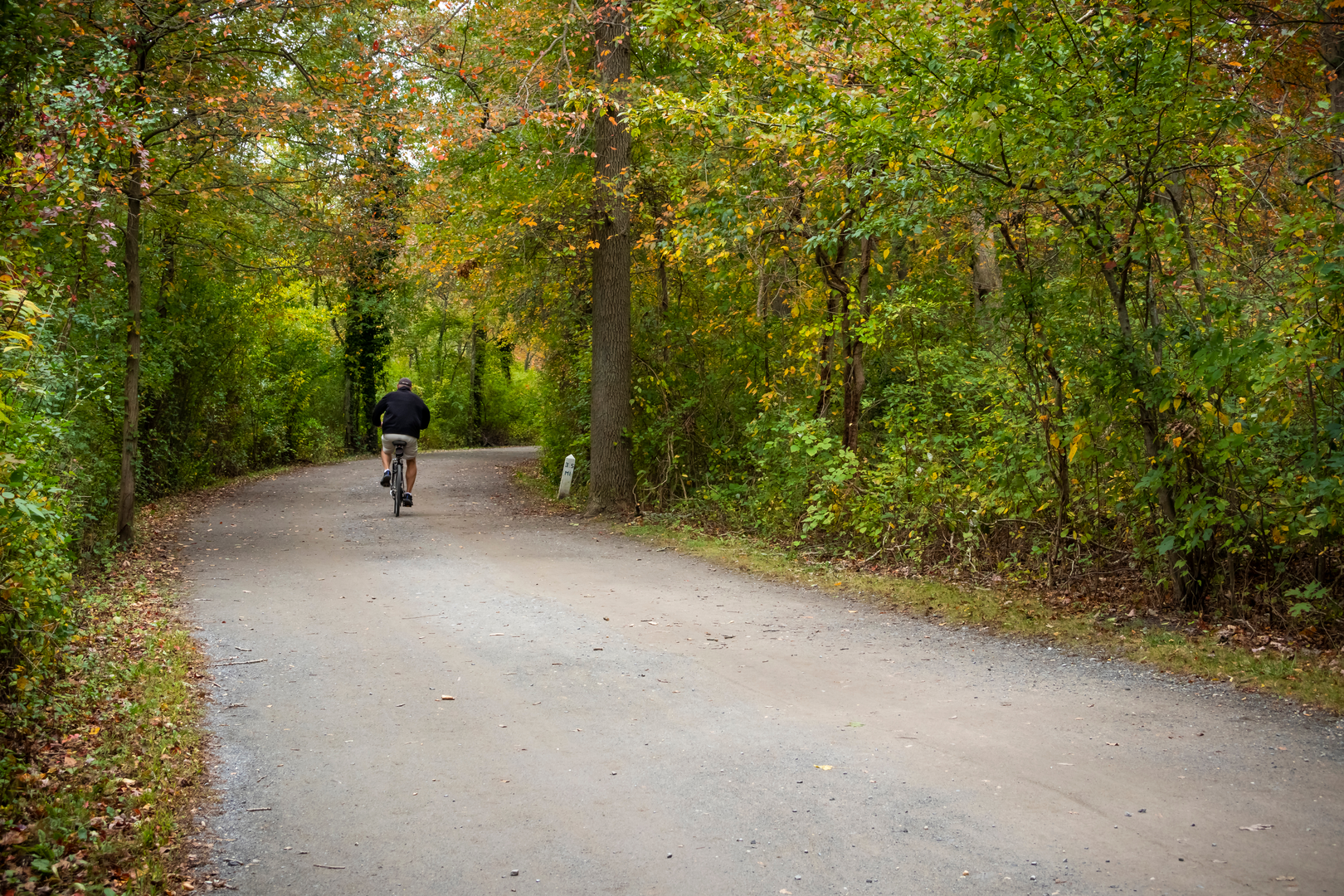 An image depicting the trail Paumanock Trail and its surrounding area.