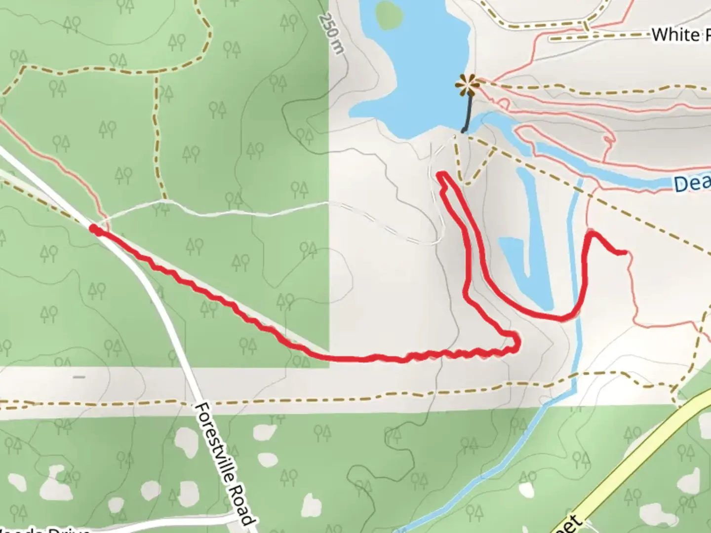An image depicting the trail Cedarville and its surrounding area.