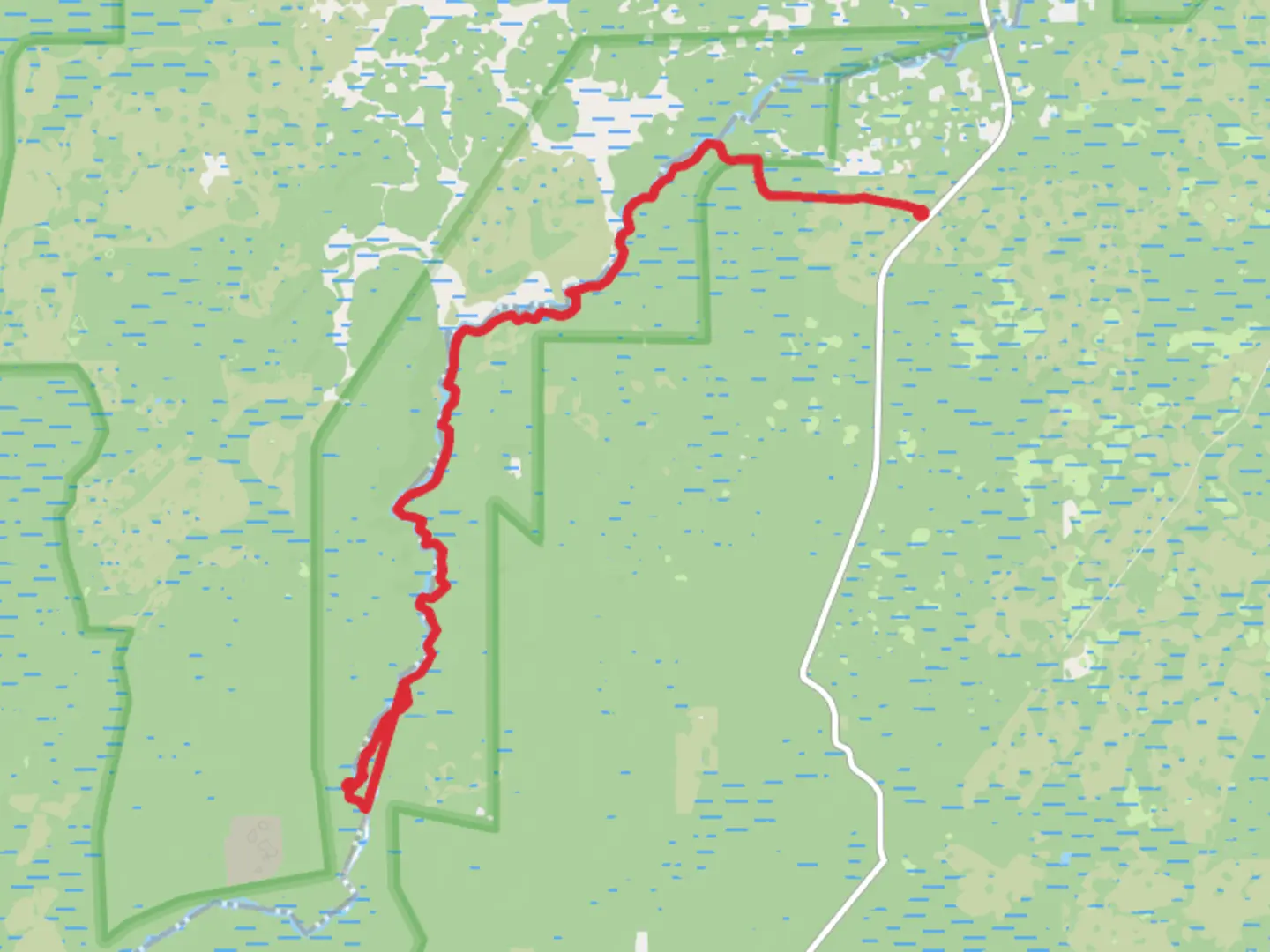 An image depicting the trail Aucilla River and Florida Trail and its surrounding area.