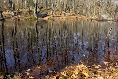 Shenipsit Trail