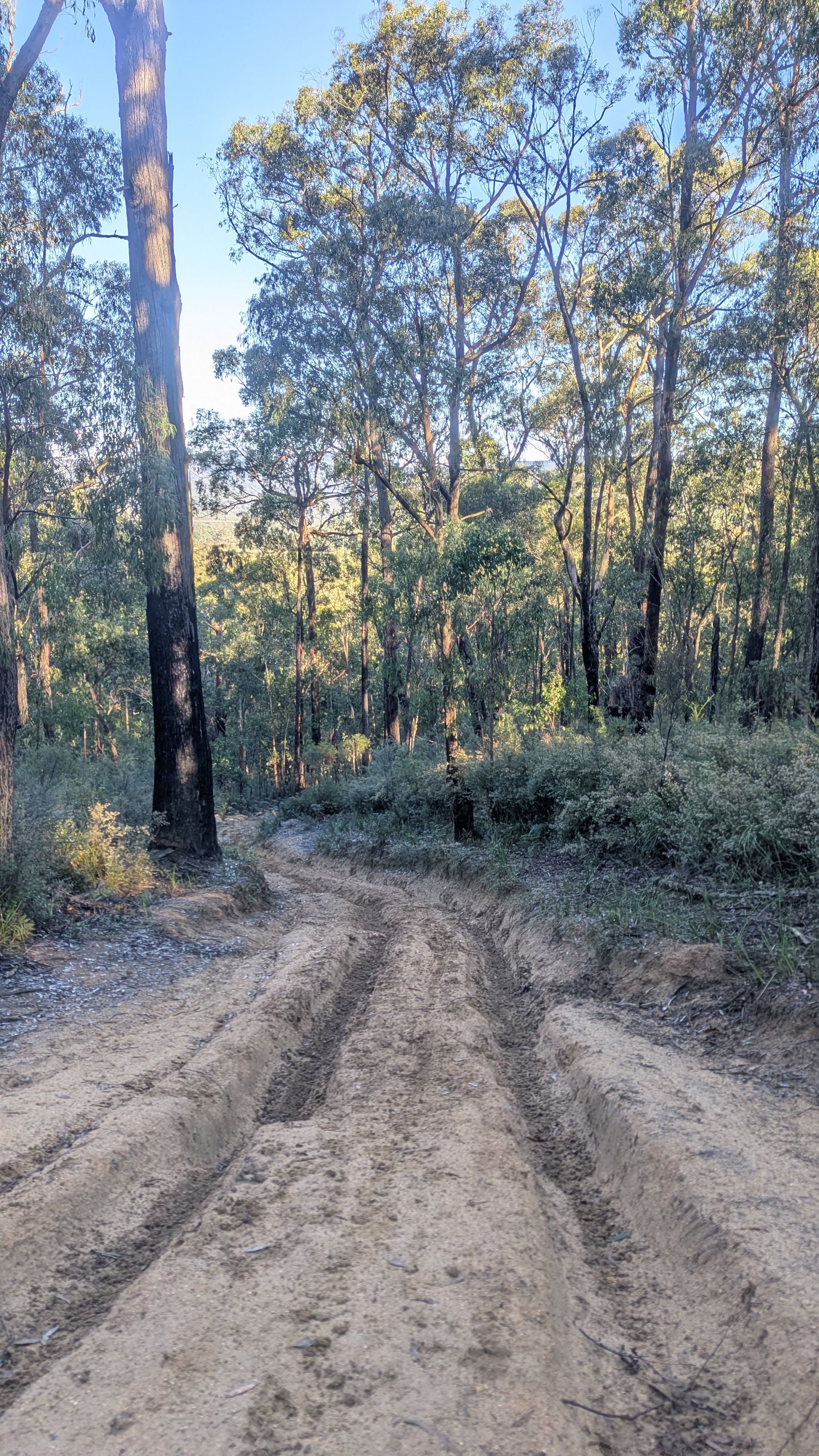 A map preview of the recording Hike on Nash Creek Loop - Wombat.