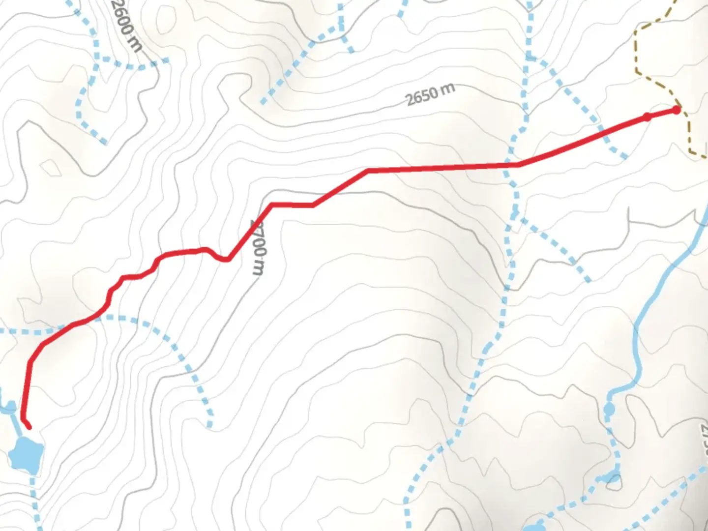 An image depicting the trail Muckey Lake Trail and its surrounding area.