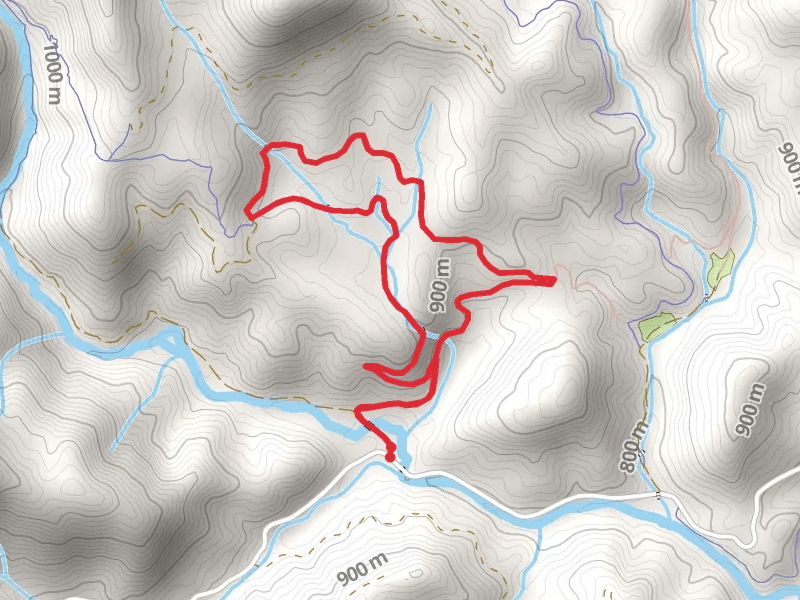 Lanning Ridge Road and Daniel Ridge Loop