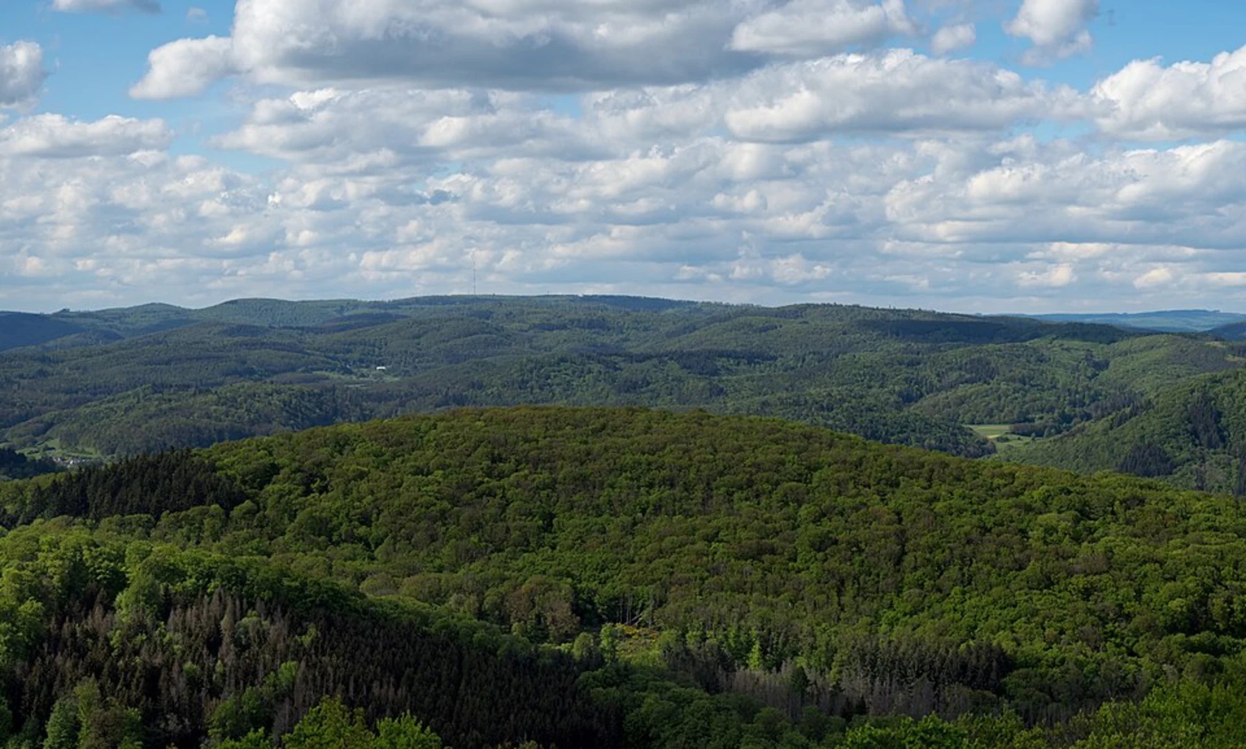 An image depicting the trail Sackpfeife Loop and its surrounding area.