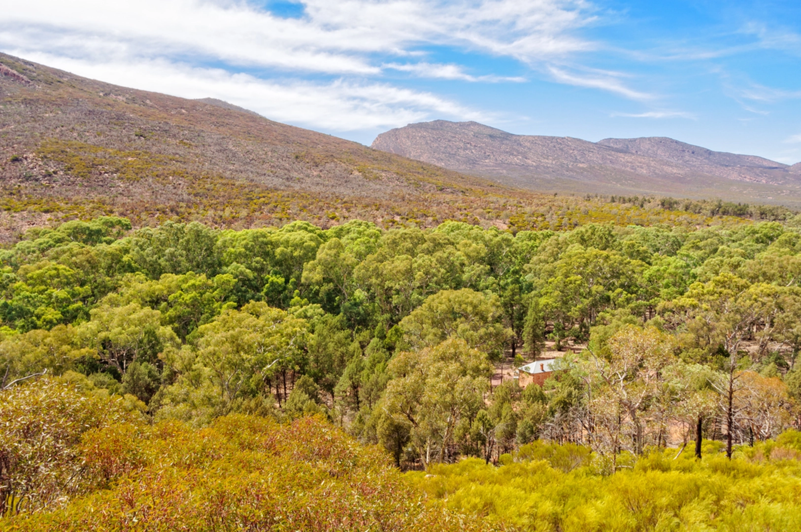 An image depicting the trail Hills Homestead Walk and its surrounding area.