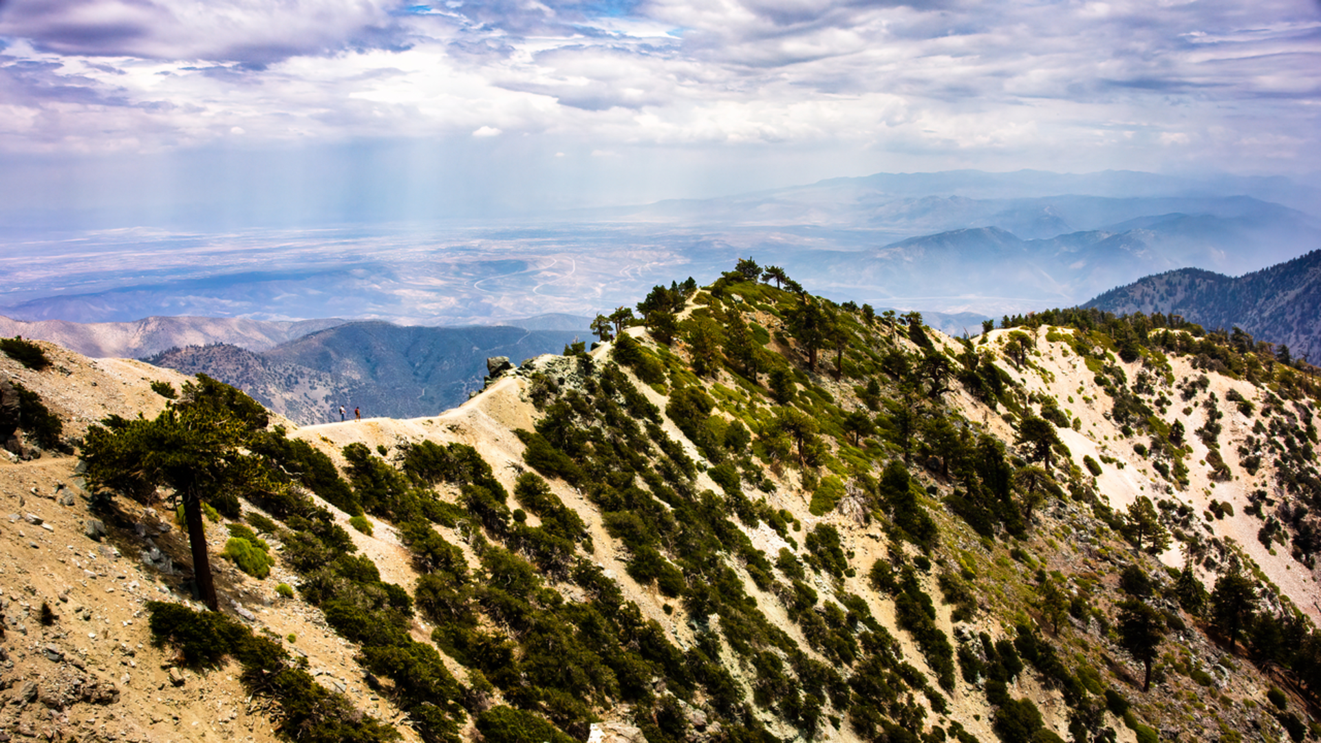 An image depicting the trail Mount Baldy via Devil's Backbone Trail and its surrounding area.