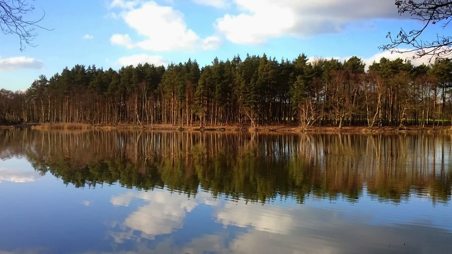 Rapley Lake Walk
