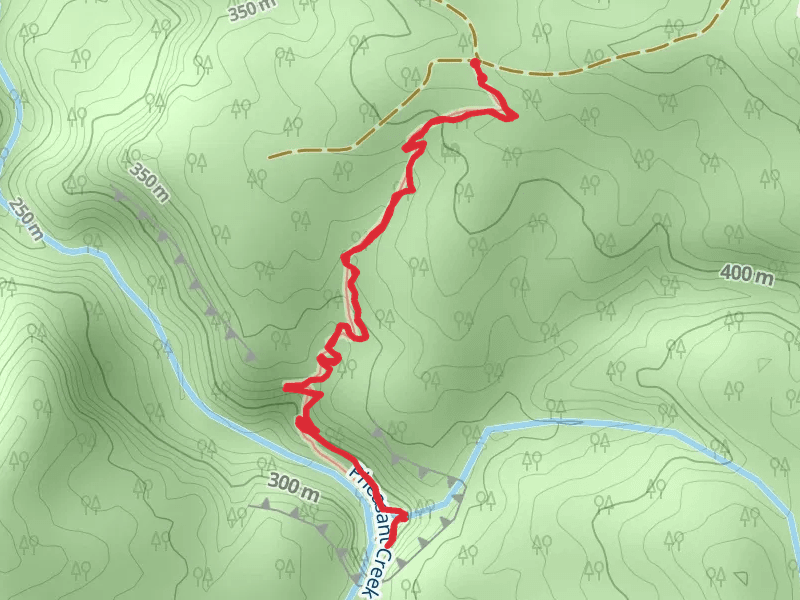 Niagra Falls Trail