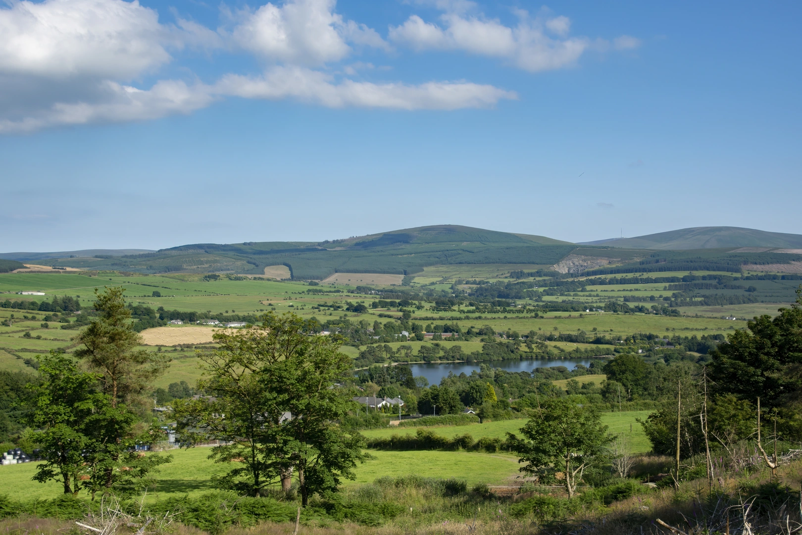 An image depicting the trail Saggart Hill Loop and its surrounding area.