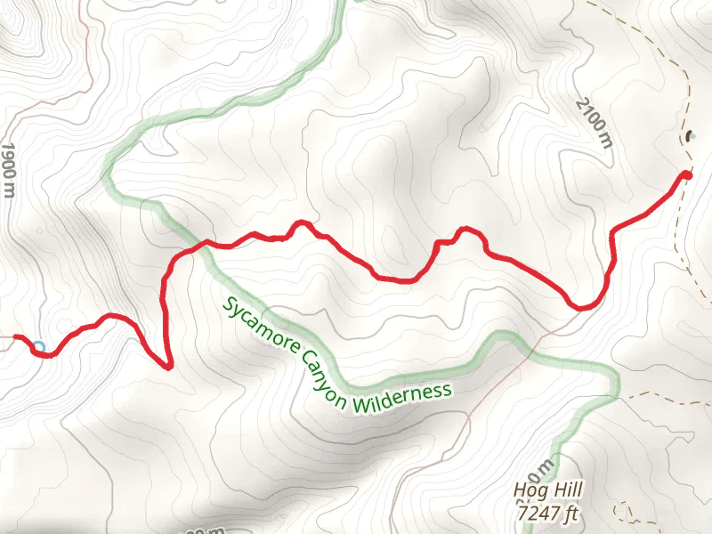Dorsey Spring Trail