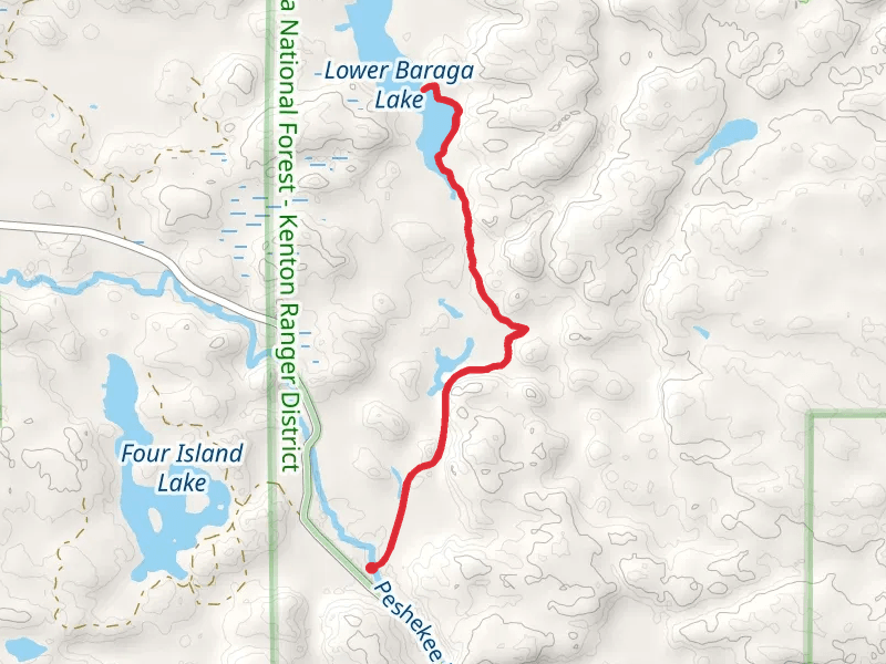 Lower Baraga Lake via White Deer Lake Trail