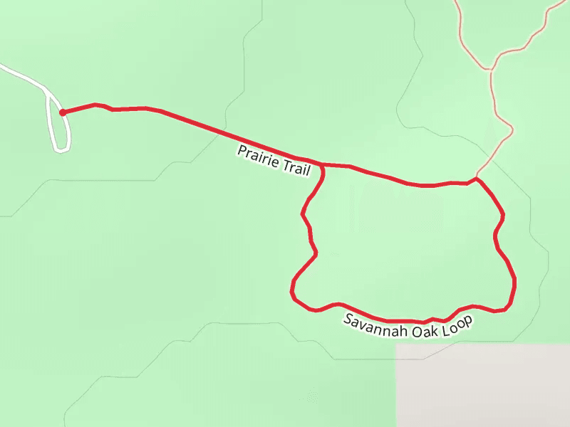 Savannah Oak Loop