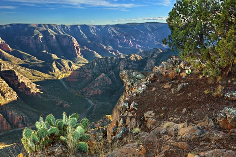Sycamore Point Trail