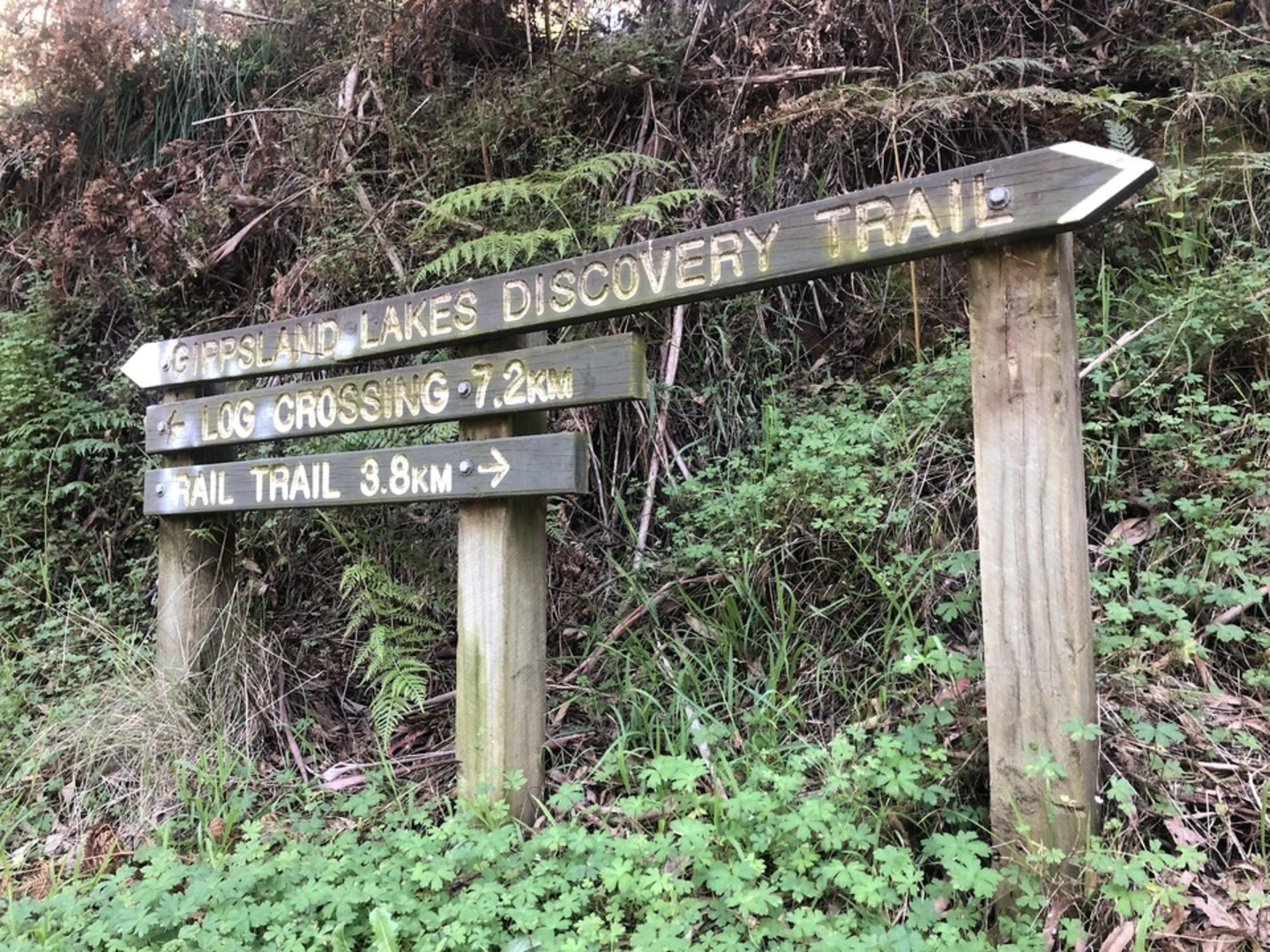 An image depicting the trail Discovery Trail Oak Track Circuit and its surrounding area.