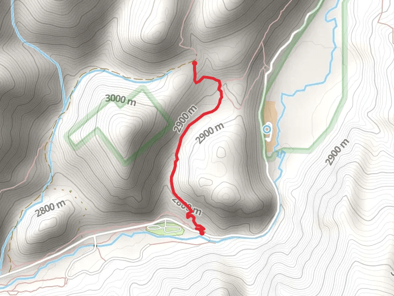 Middle Cement Creek Trail