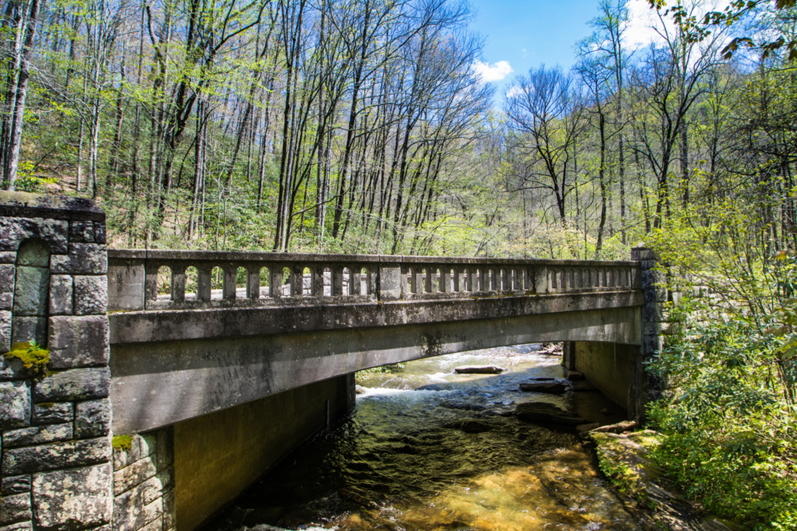 An image depicting the trail Perry Cove and Bennett Gap Loop Trail and its surrounding area.