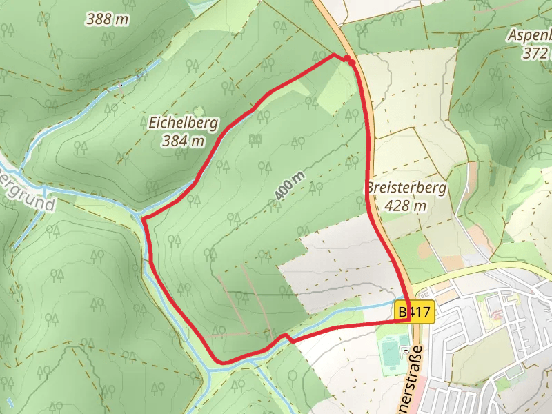 Eichhoernchen and Rundwanderweg Erlenblatt Loop