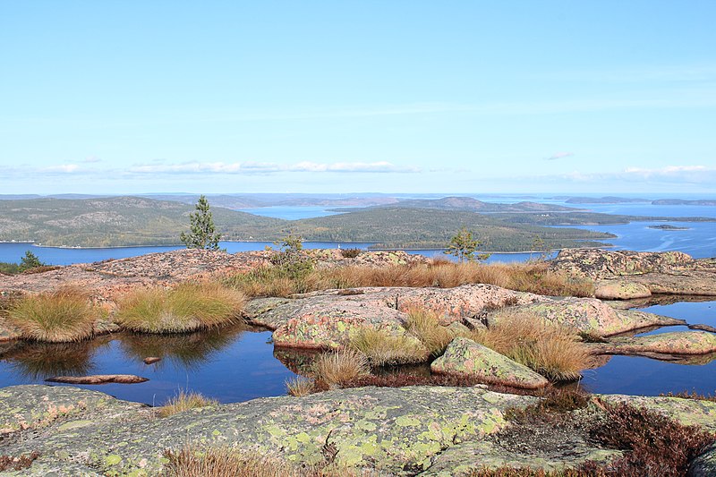 An image depicting the trail Skuleskogen National Park and its surrounding area.